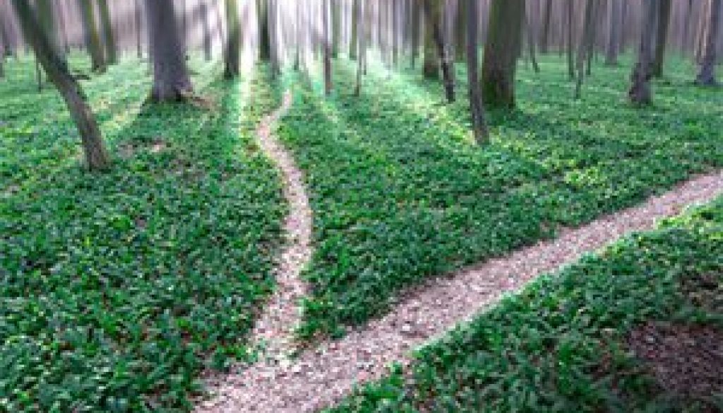 Post Hypnotic Suggestion