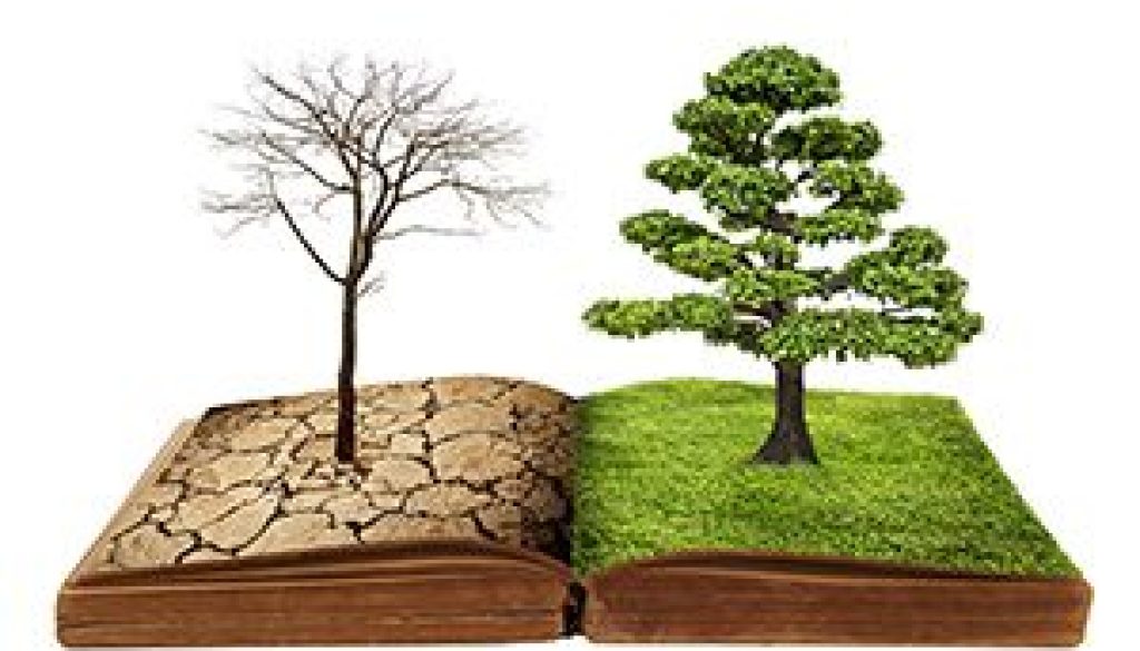 Same Life Different Story