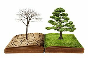 Same Life Different Story