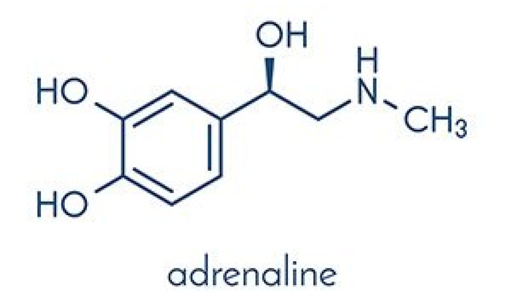 Adrenaline Addiction