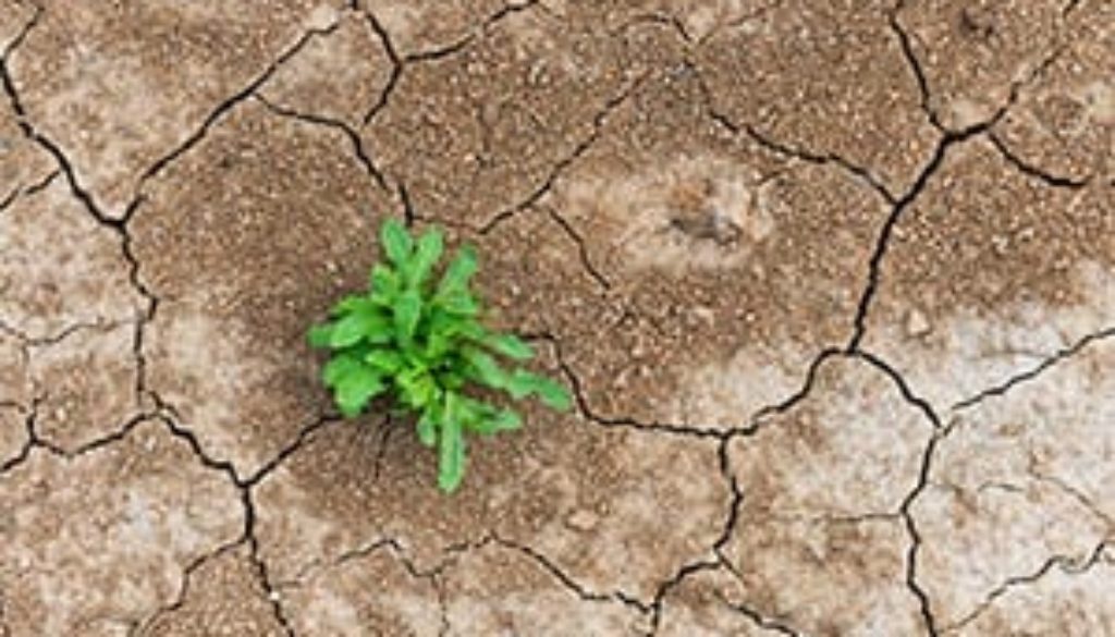 developing-resilience