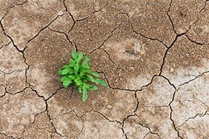 developing-resilience