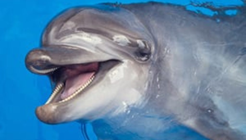 emotional-intelligence