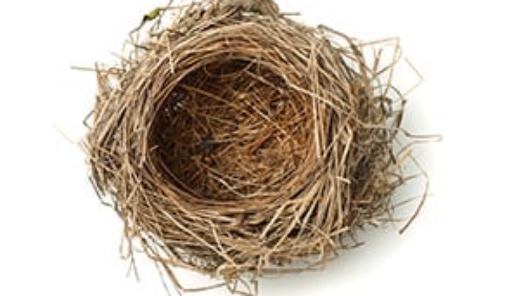 Empty nest syndrome