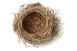 Empty nest syndrome