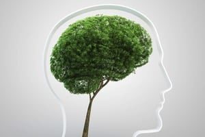 growth-mindset-hypnosis-download