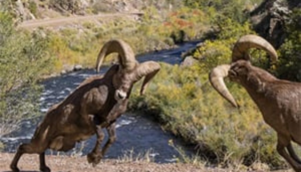 less-confrontational