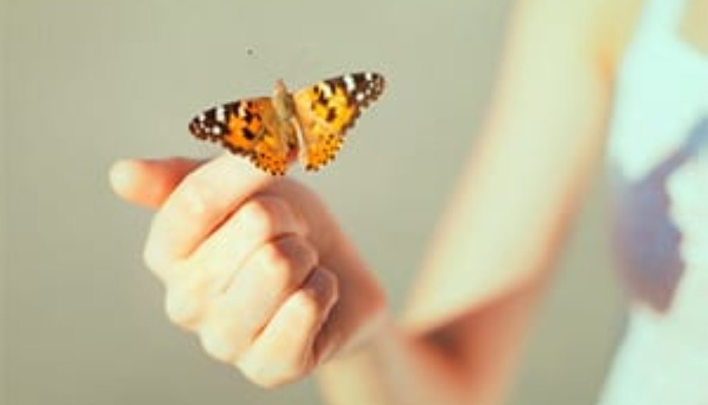 Mindfulness meditation