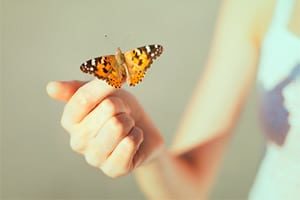 Mindfulness meditation