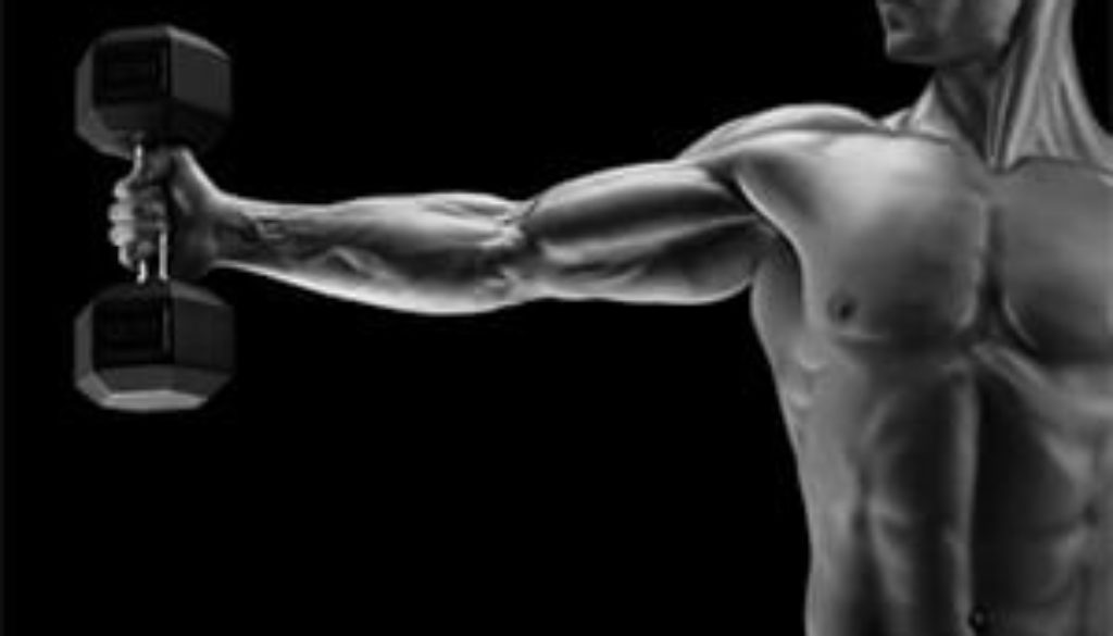 Increase muscle strength