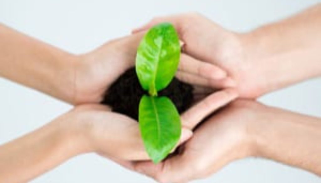 Overcoming Insecurity