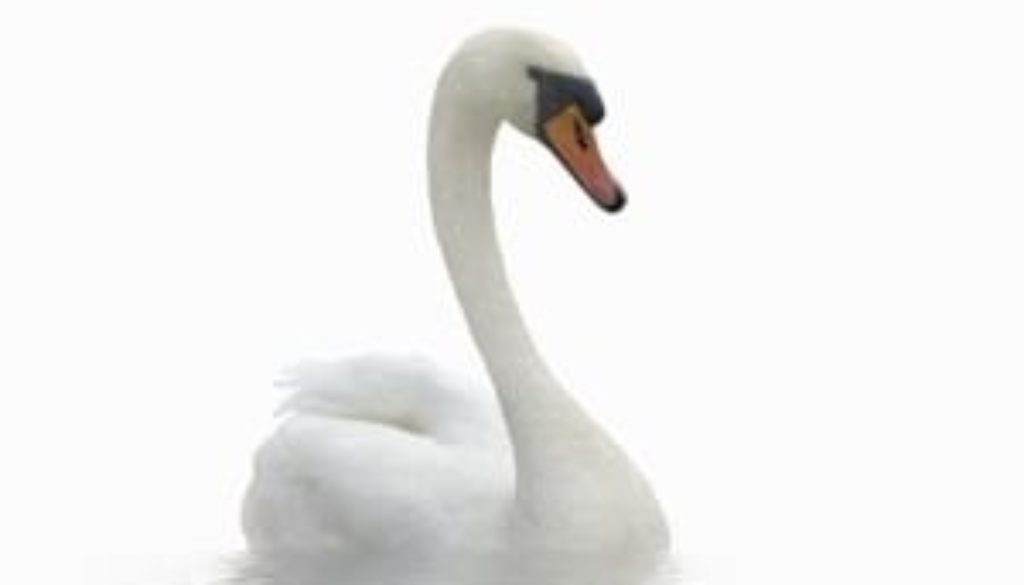 pack-feel-attractive-for-women