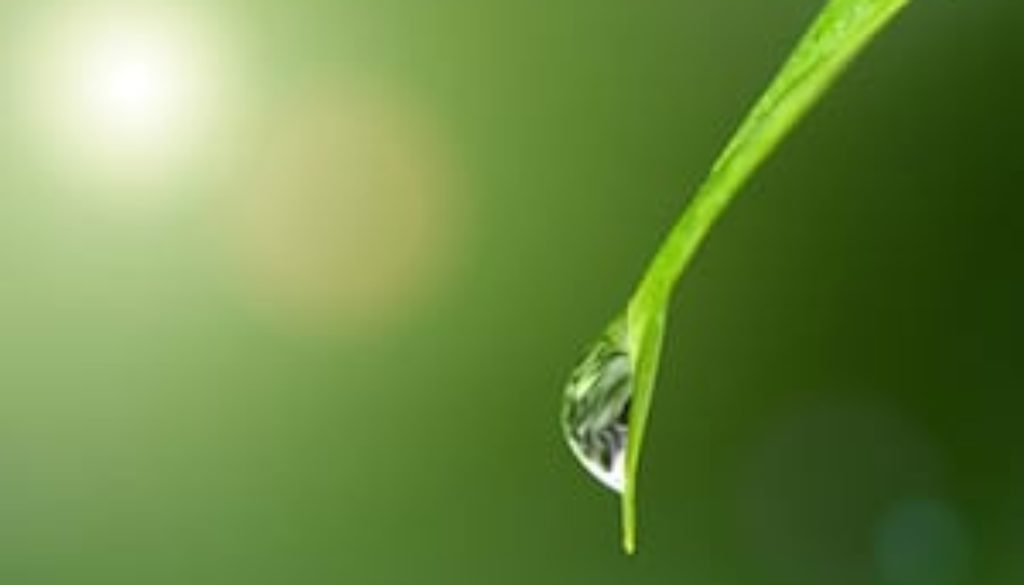 pack-mindfulness-meditation