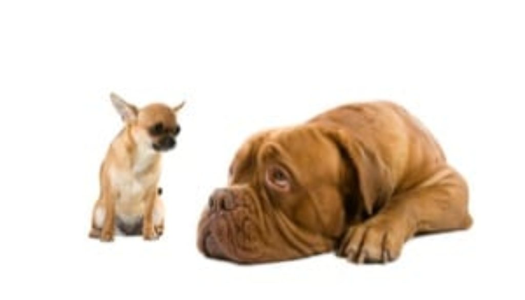 Stop feeling inferior