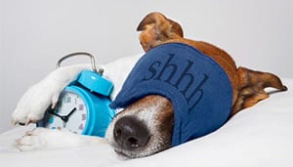 Ten Minute Power Nap