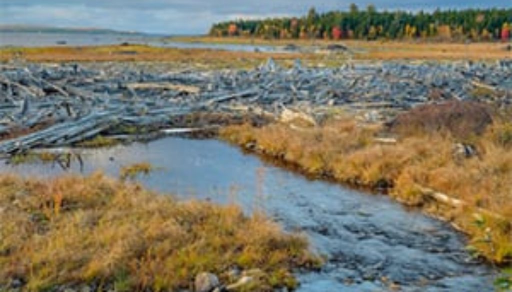 relieving-constipation