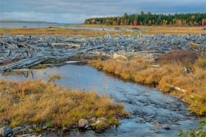 relieving-constipation