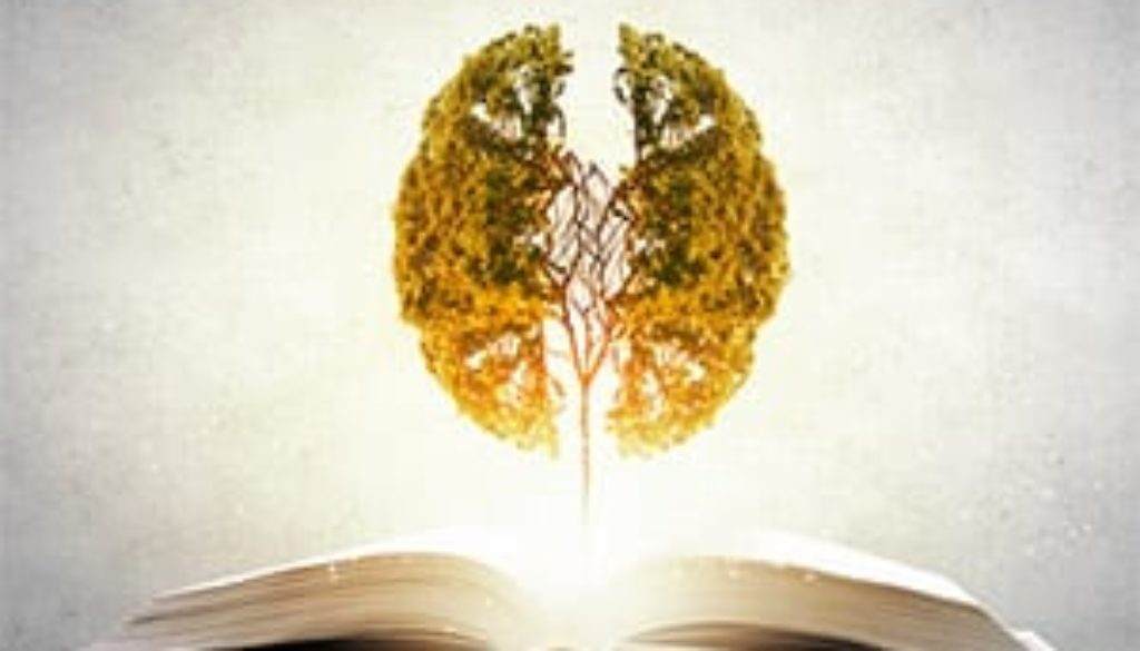 Remember what you read