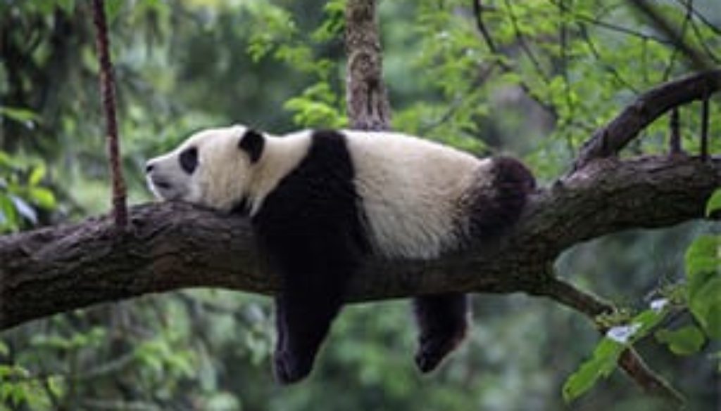 Don't Rest on Your Laurels