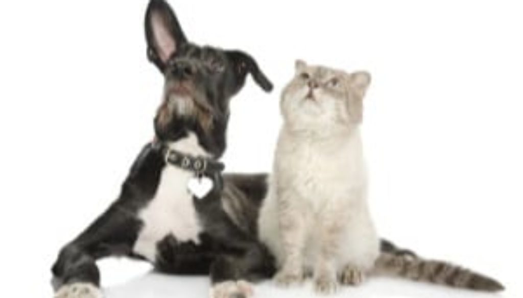 Stop seeking approval