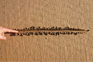 setting-boundaries_0