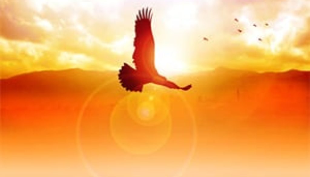 Soar Like an Eagle