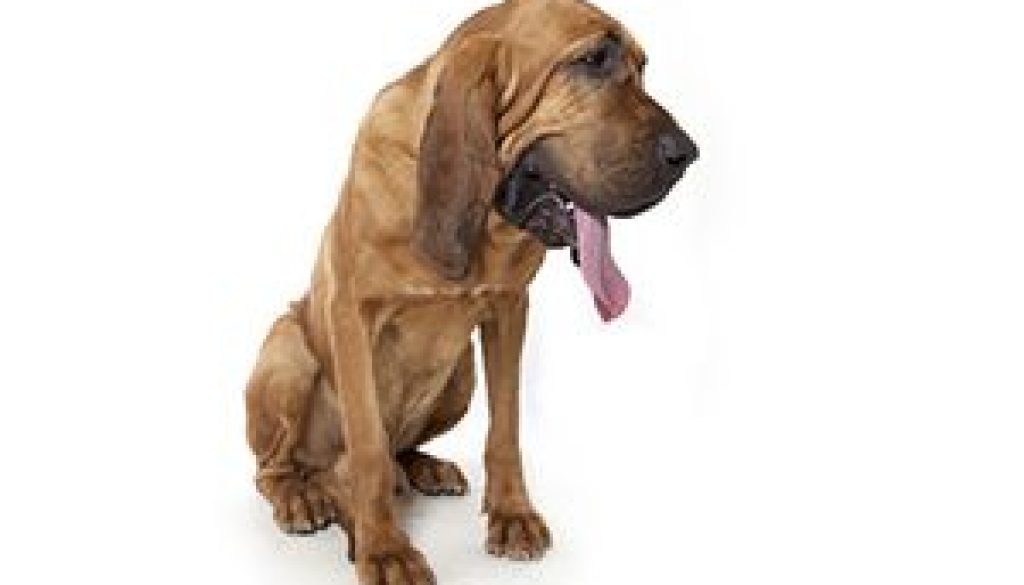 Trust Your Instincts