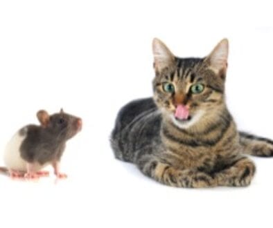 overcome fear of confrontation