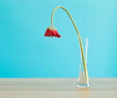 Masturbation Addiction